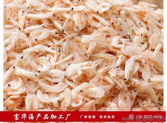 探訪茂名真實蝦皮工廠 富華海產品加工廠與營林的產業突圍之路